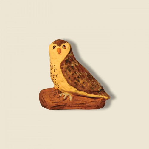 image: Barn owl