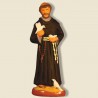 image: Saint Francis of Assisi