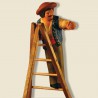 image: Olive picker on step-ladder