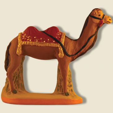 image: Camel with red blanket