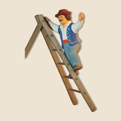 image: Olive picker on step-ladder