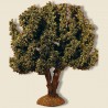 image: Olive Tree 15 cm