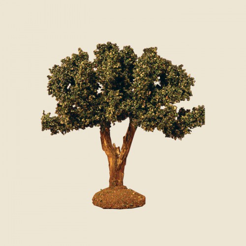 image: Olive Tree 12 cm