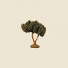 image: Olive Tree 6 cm