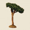 image: Pine Tree 14 cm