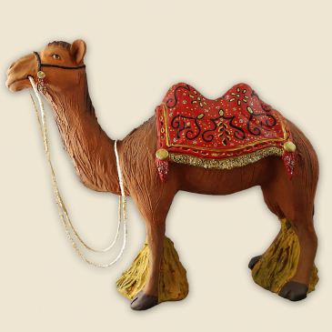 Camel with yellow blanket