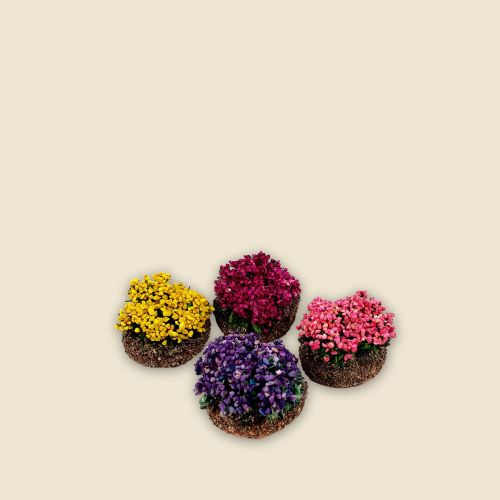 Flower bushes - 4 colours