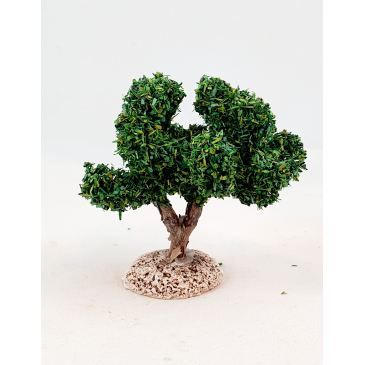 image: Olive Tree 9 cm