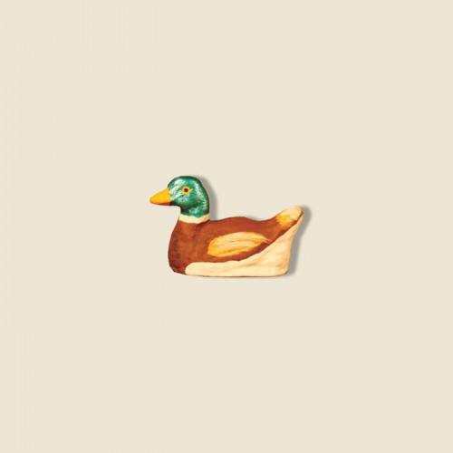 image: Duck