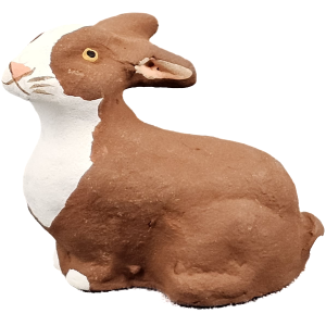 image: Lapin bicolore