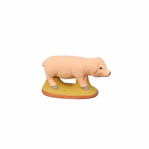 Pig