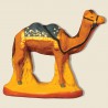 image: Camel with bleue blanket