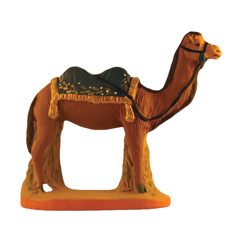 image: Camel with bleue blanket