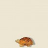 image: Turtle